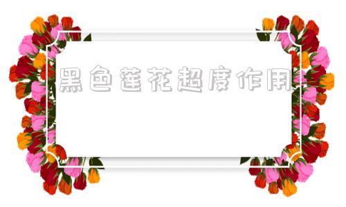 黑色莲花超度作用-黑色莲花代表什么寓意 黑色莲花超度作用-黑色莲花代表什么寓意